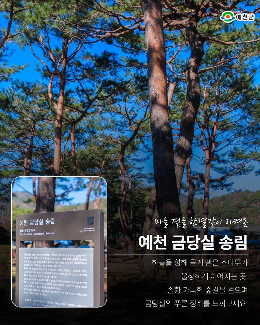 10.금당야행을 기다리며, 미리 걷는 금당실 한 바퀴!